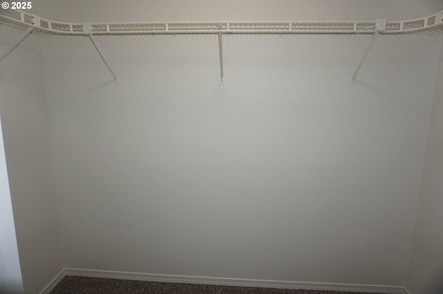 spacious closet with carpet flooring