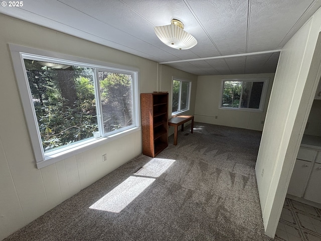 5336 Buckskin Bob, Florence, OR 97439 - carpeted empty room with a textured ceiling