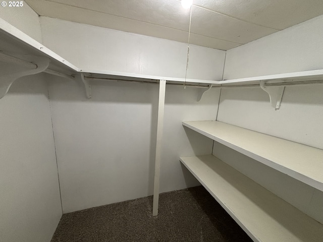 5336 Buckskin Bob, Florence, OR 97439 - walk in closet featuring carpet floors