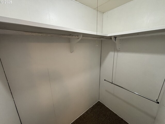 5336 Buckskin Bob, Florence, OR 97439 - walk in closet featuring dark carpet