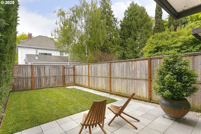 view of yard featuring a patio and a fenced backyard