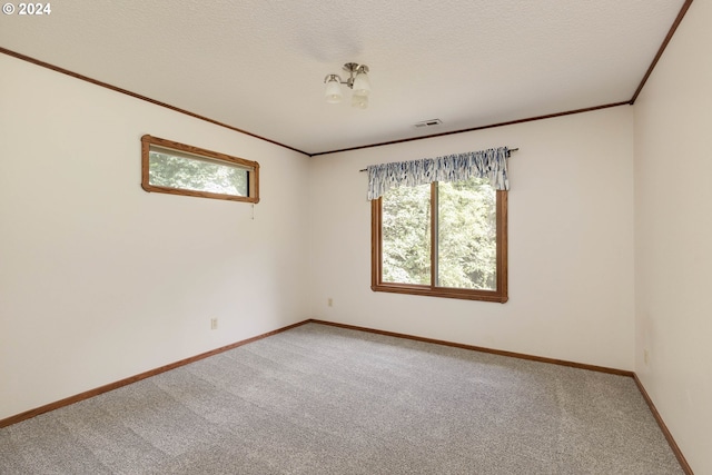 spare room featuring a healthy amount of sunlight, carpet, crown molding, and a textured ceiling