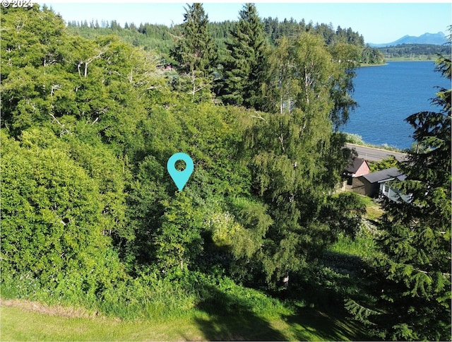 2041 SE 1st St, Astoria OR, 97103 land for sale