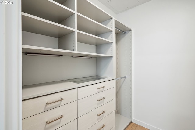 walk in closet with light wood finished floors