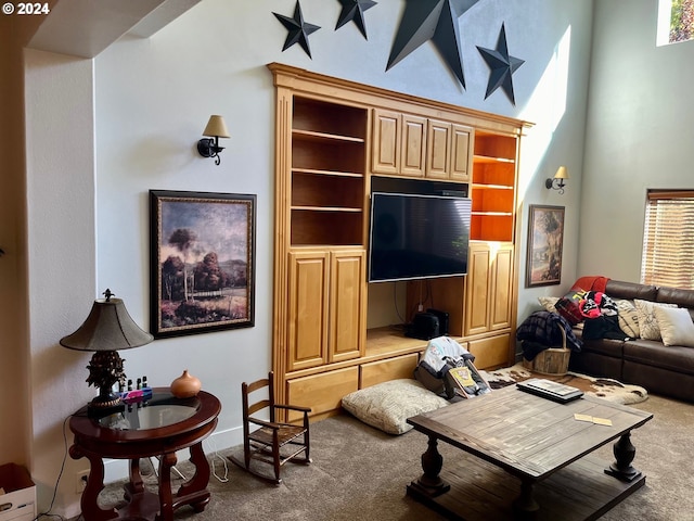 living room with carpet flooring