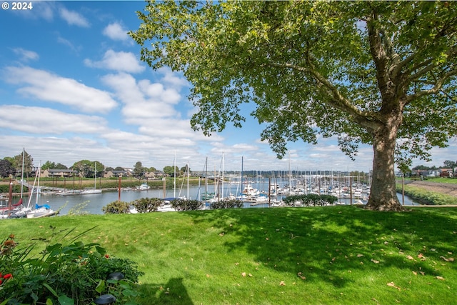 property view of water with a dock