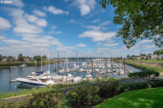 property view of water with a dock