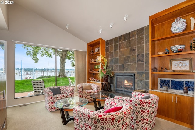 interior space with a water view, built in features, a fireplace, and light carpet