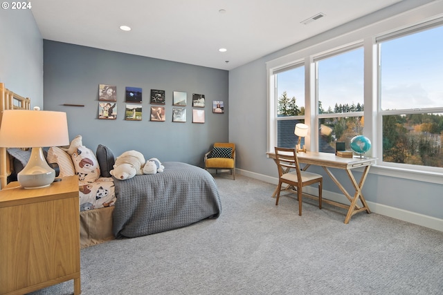 bedroom with carpet