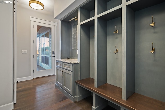 mudroom with dark wood-type flooring