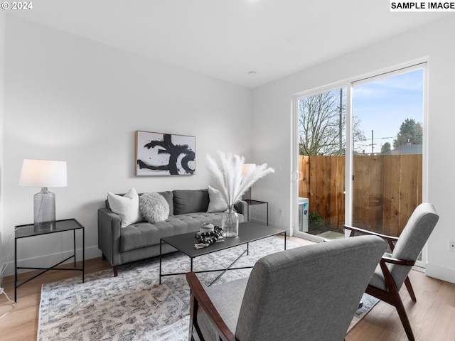 living room featuring light hardwood / wood-style flooring