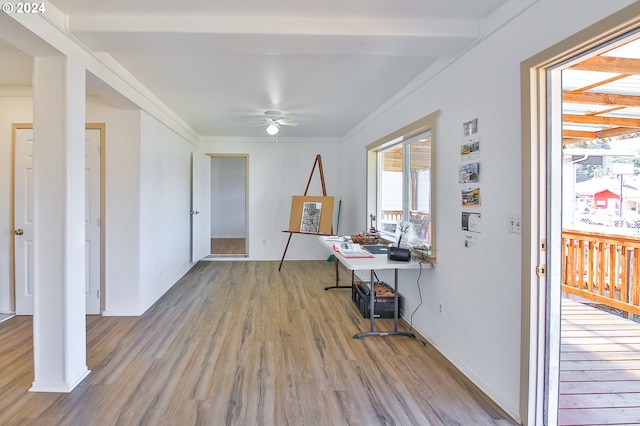 office space featuring a ceiling fan, wood finished floors, and ornamental molding