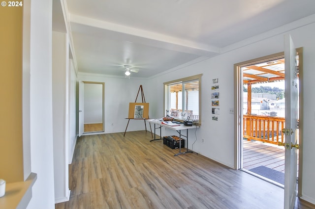 entryway with ceiling fan and wood finished floors