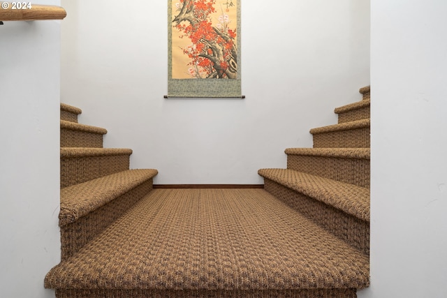 staircase with carpet