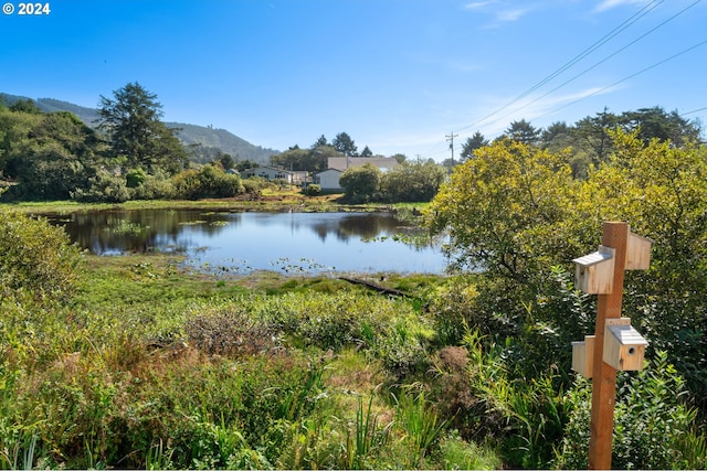 property view of water featuring a mountain view