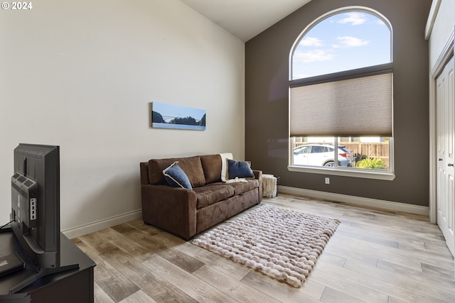 living room featuring high vaulted ceiling and light hardwood / wood-style flooring