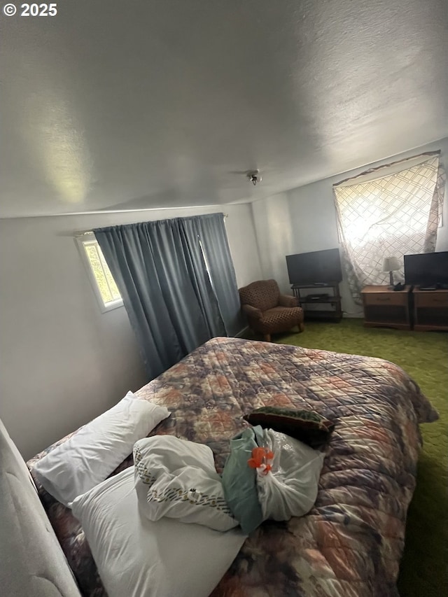 1074 Fir Ave, Reedsport, OR 97467 - view of carpeted bedroom