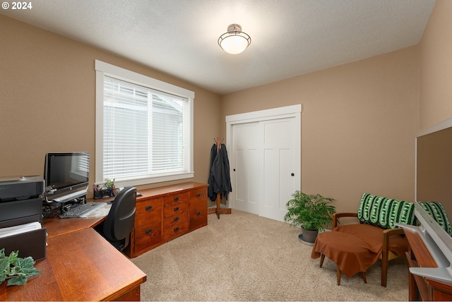 office featuring a textured ceiling and light colored carpet