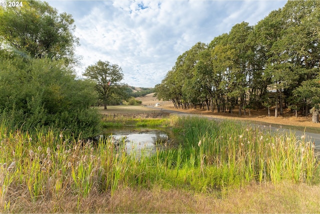 view of landscape with a water view