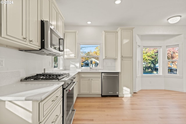 kitchen with a wealth of natural light, appliances with stainless steel finishes, and light hardwood / wood-style flooring