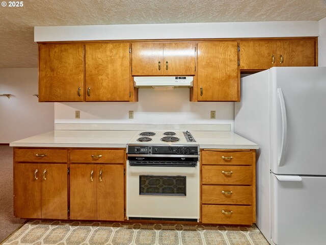 empty room with carpet flooring and a textured ceiling