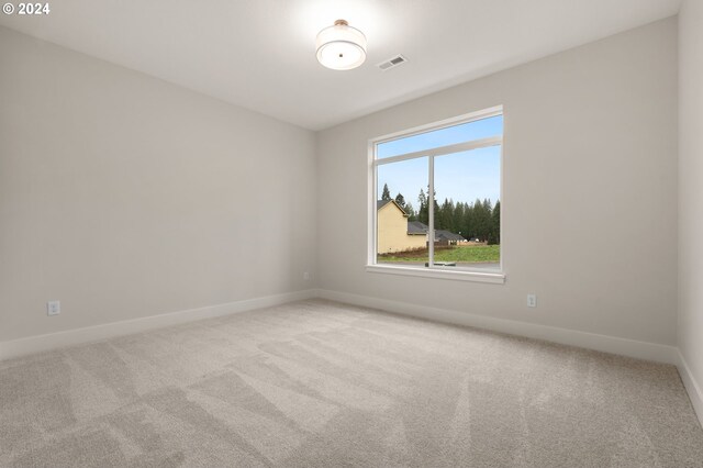 unfurnished bedroom with a closet and carpet floors