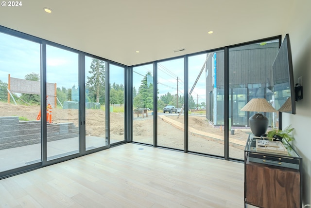 entryway featuring floor to ceiling windows and light wood-type flooring