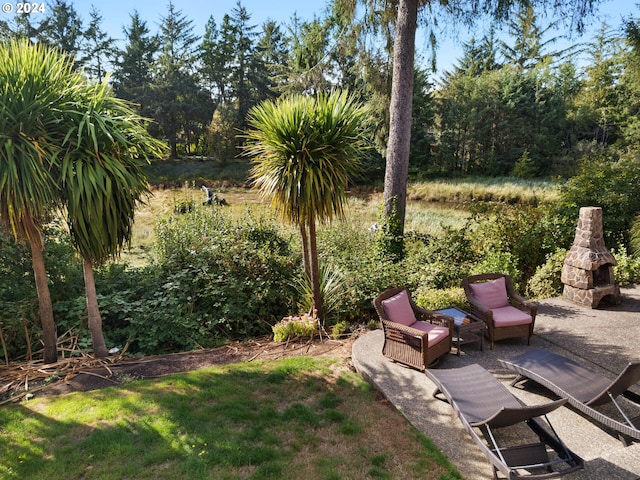 view of yard with a patio