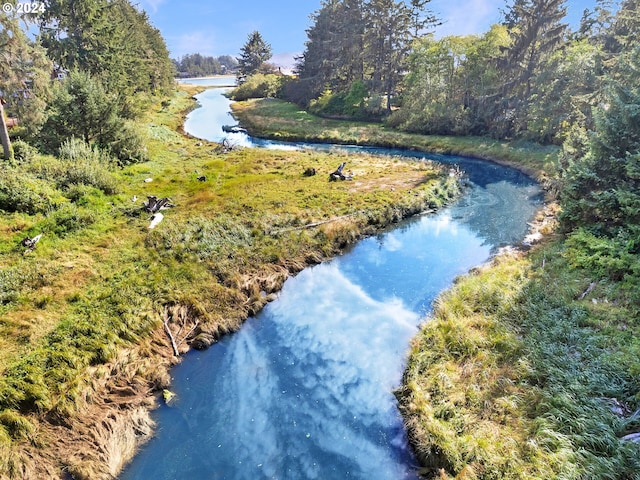 bird's eye view featuring a water view