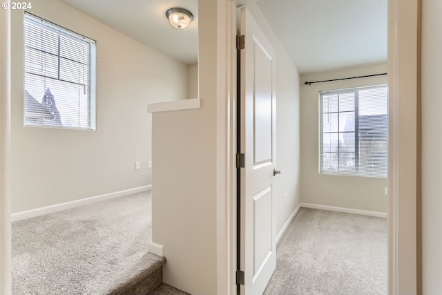 corridor with light colored carpet