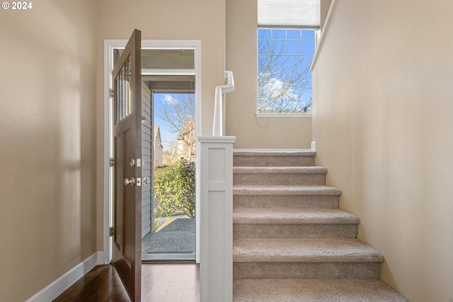 stairway with hardwood / wood-style flooring