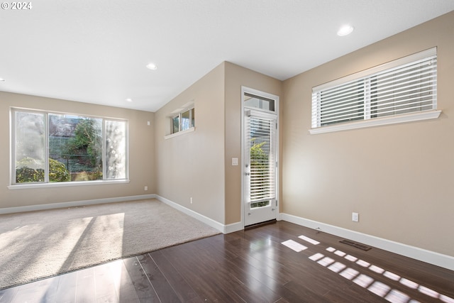 foyer featuring a wealth of natural light and dark wood-type flooring