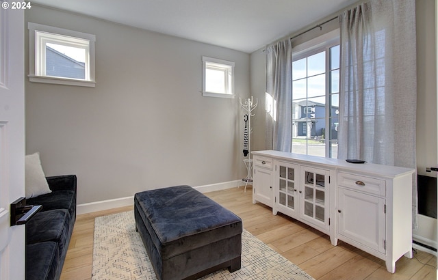 sitting room featuring light hardwood / wood-style flooring