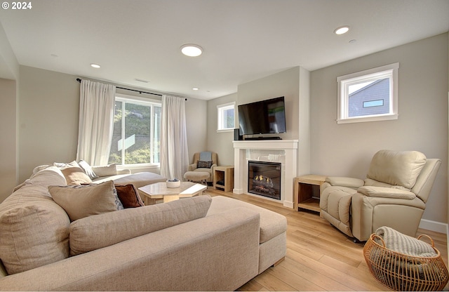 living room featuring a premium fireplace and light hardwood / wood-style flooring