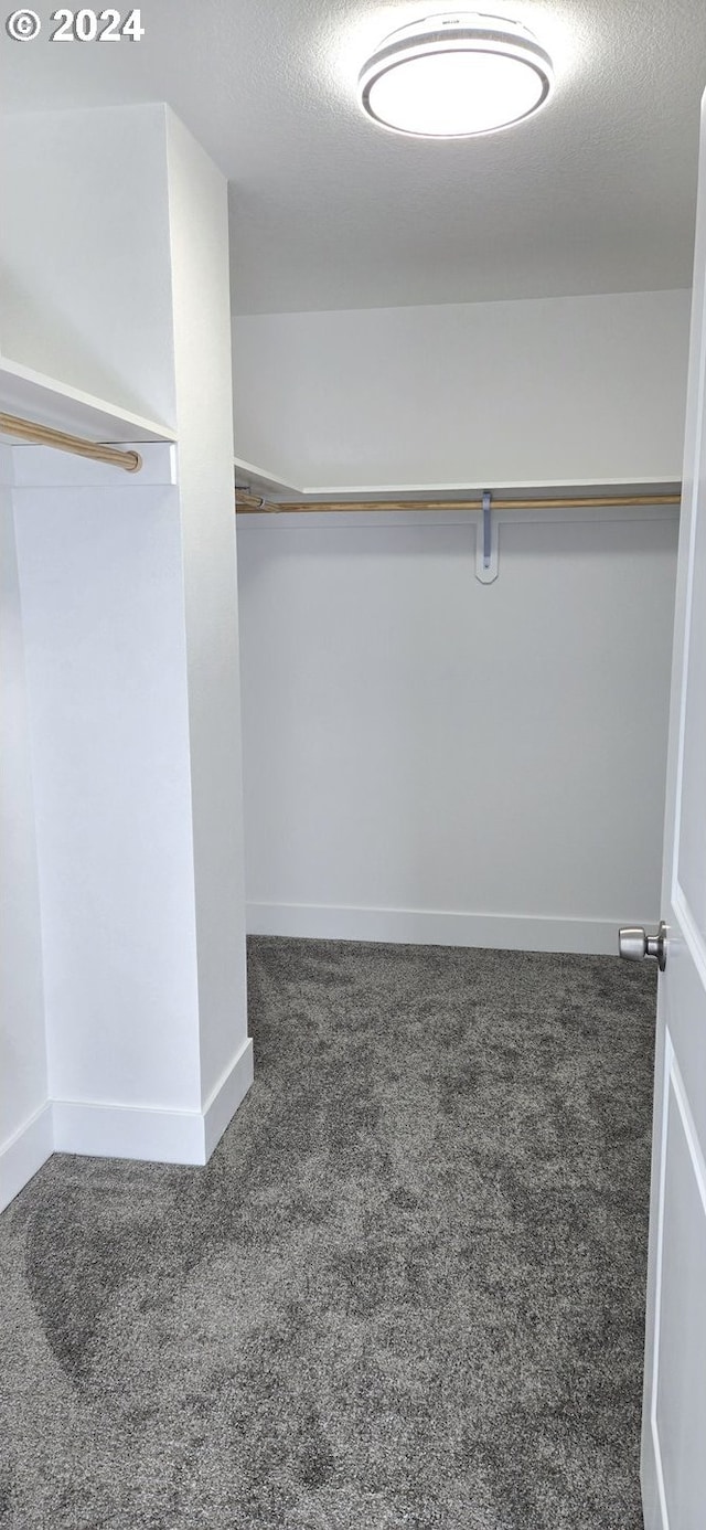 walk in closet featuring dark carpet