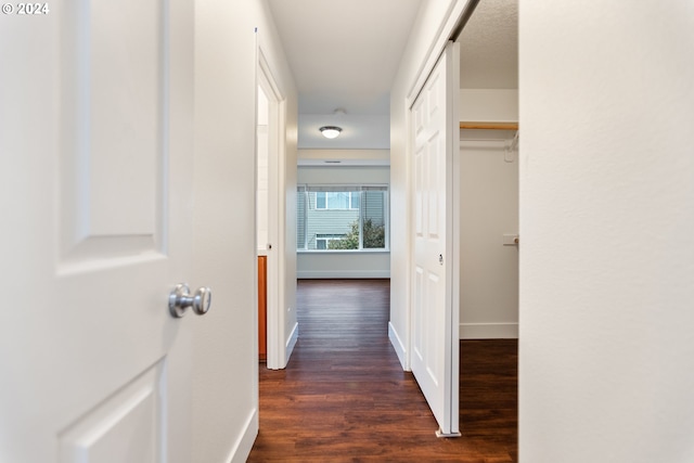 hall with dark hardwood / wood-style floors