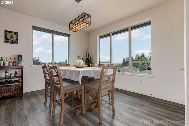 dining room featuring plenty of natural light and dark hardwood / wood-style flooring