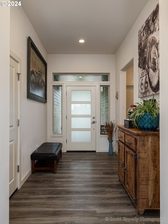 entryway with dark hardwood / wood-style flooring