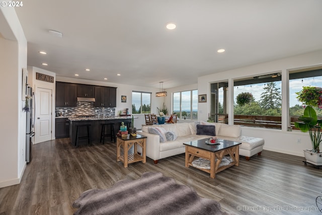 living room with dark hardwood / wood-style floors