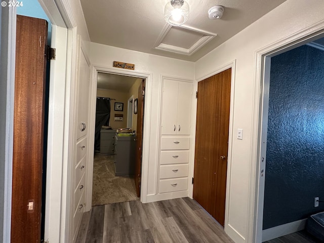 corridor with wood-type flooring