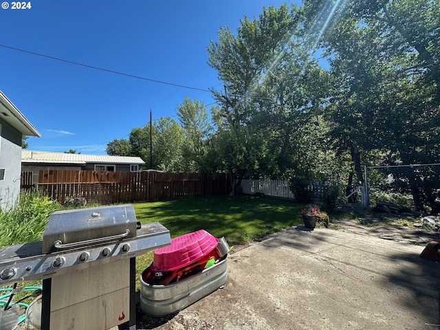 view of yard featuring a patio