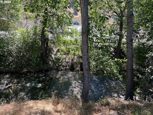 view of local wilderness featuring a water view