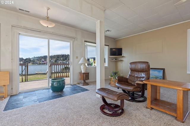 living area with crown molding, a water view, and carpet floors