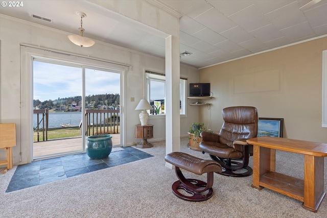 3770 NE 12th St, Otis, OR 97368 - sitting room with visible vents, ornamental molding, and carpet flooring