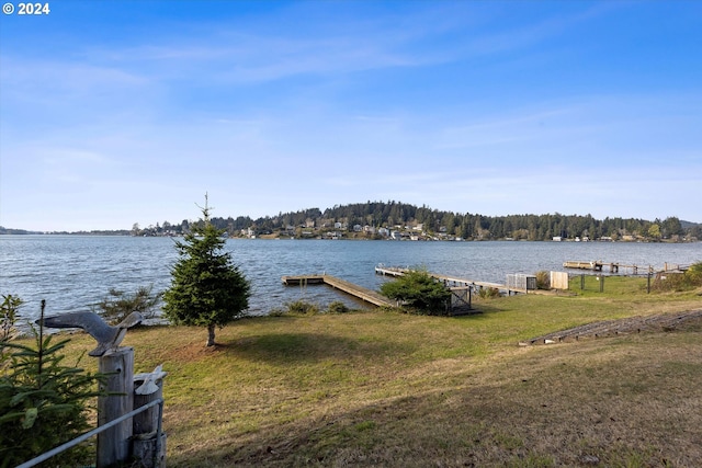 property view of water with a boat dock