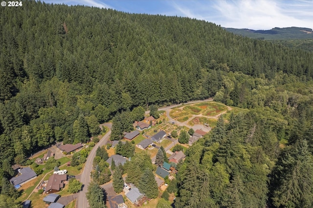 bird's eye view with a mountain view