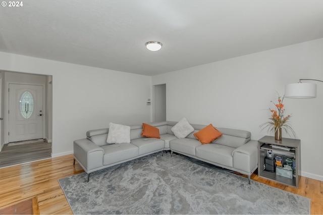 living room with wood-type flooring