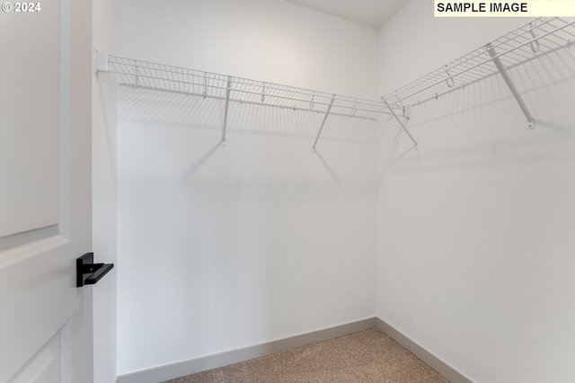 walk in closet with carpet flooring