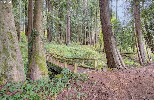 view of yard with a forest view