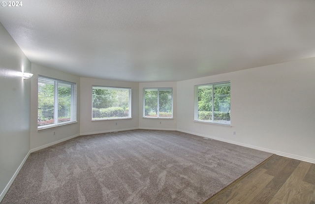 empty room with a healthy amount of sunlight, baseboards, and wood finished floors